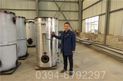 反烧锅炉公司