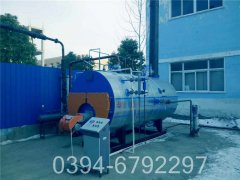 立式燃煤导热油炉