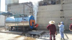 250万大卡燃气导热油炉