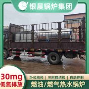 WNS5-1.25-QY燃气蒸汽锅炉九游体育（中国）官方网站-九游 sports
