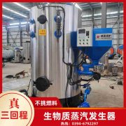 锅炉燃煤锅炉