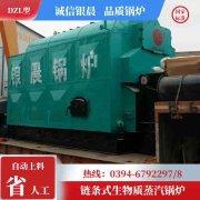 煤锅炉改生物质锅炉