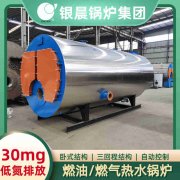全自动导热油炉