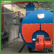 蒸汽锅炉排行榜0.5吨2019年销量最高